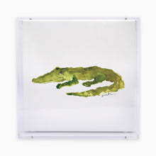  Alligator Acrylic Shadow Box Print Anne Neilson Home Wholesale