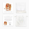 Children's Scripture Cards Anne Neilson Home Wholesale