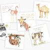 Children's Scripture Cards Anne Neilson Home Wholesale