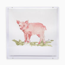  Pig Acrylic Shadow Box Print Anne Neilson Home Wholesale
