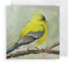 Songbird Enclosure Cards Enclosure Card Anne Neilson Home