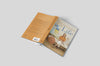 The Brushstrokes of Life: Discovering How God Brings Beauty and Purpose to Your Story Books Anne Neilson Home