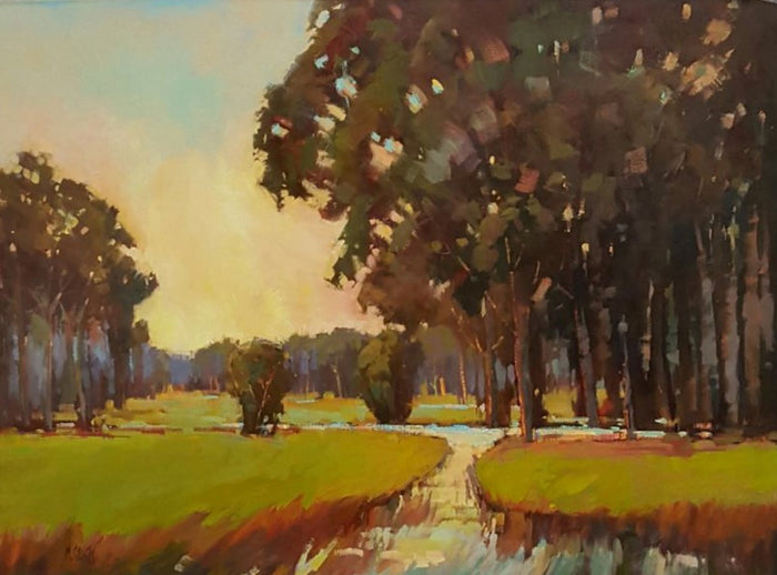 The Aftermath of Hurricane Helene: Twisting Trees