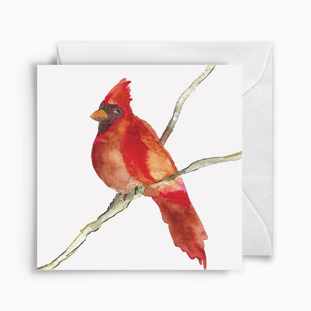 Cardinal Enclosure Cards