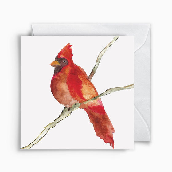 Cardinal Enclosure Card Enclosure Card Anne Neilson Home Wholesale