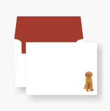  CONSTANT COMPANION NOTECARDS Anne Neilson Home