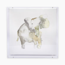  Elephant Acrylic Shadow Box Print Anne Neilson Home Wholesale