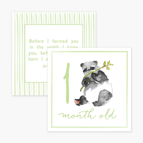 Milestone Cards Anne Neilson Home Wholesale