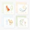 Milestone Cards Anne Neilson Home Wholesale