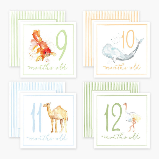 Milestone Cards Anne Neilson Home Wholesale