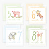 Milestone Cards Anne Neilson Home Wholesale