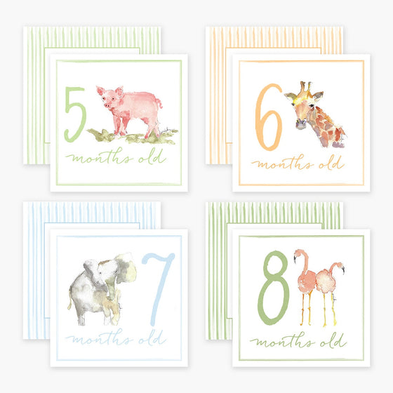 Milestone Cards Anne Neilson Home Wholesale