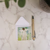 New Beginnings Enclosure Cards Anne Neilson Home