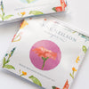Praise Floral Beginner Needle Point Kit Needle Point Anne Neilson Home Wholesale