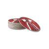 Splendor of His Love Coasters Anne Neilson Home Wholesale