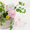 Thinking of You Encouraging Cards Anne Neilson Home Wholesale