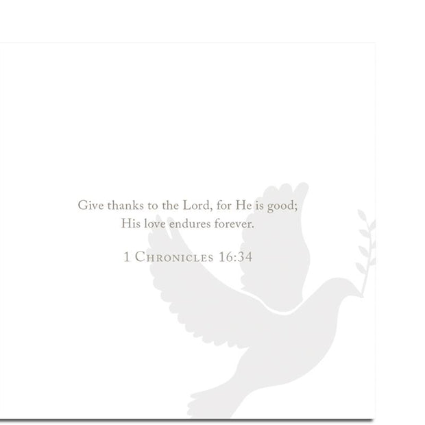 Promise Scripture Cards Scripture Cards Anne Neilson Home